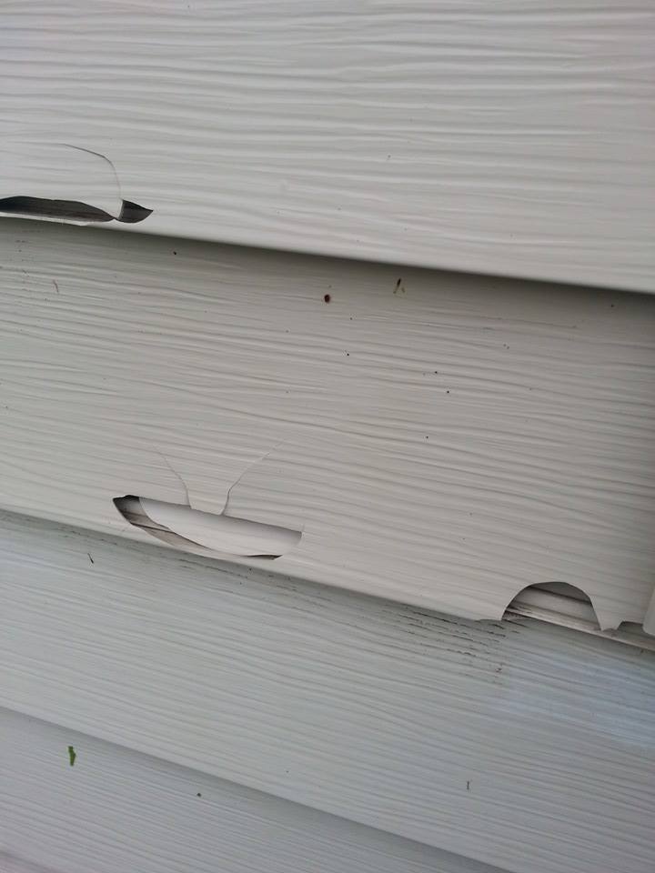 Quarter-size hail + wind + 20-year-old siding = this.